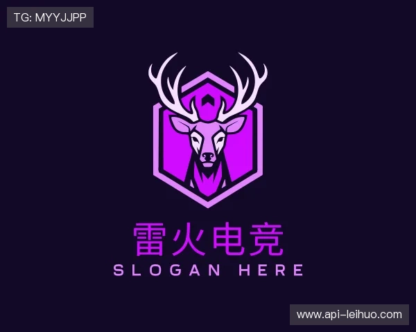 认识雷火电竞团队